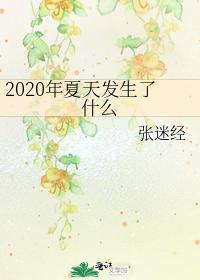 2020年夏天发生了什么封面