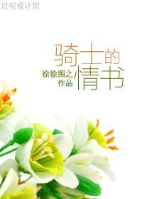 骑士的情书封面