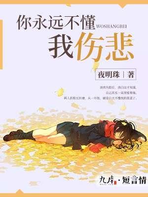 你永远不懂我伤悲封面