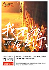 造皇风云录封面