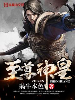 至尊神皇叶辰免费封面