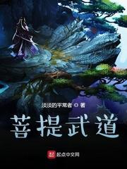 菩提武道封面