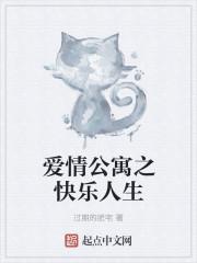 爱情公寓之快乐人生封面