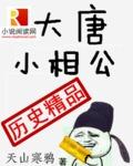 大唐小相公封面