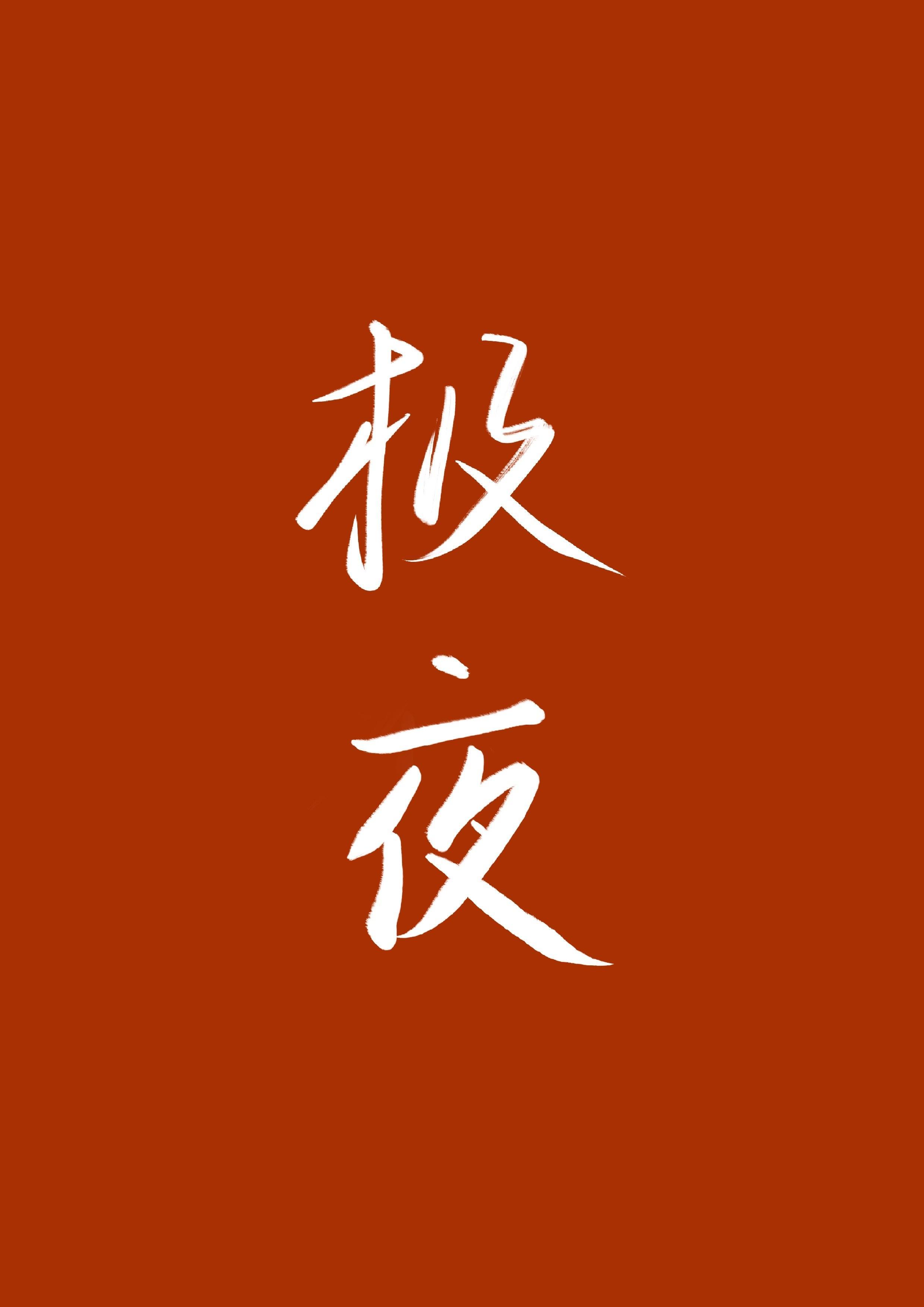 极夜封面