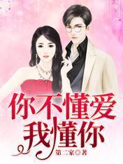 你不懂爱，我懂你封面