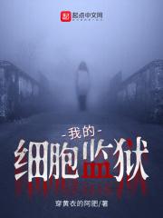 阴阳神功封面