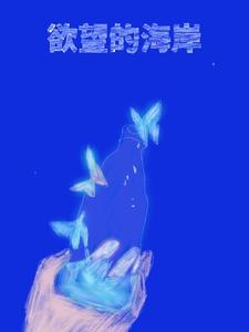 欲望的海岸封面