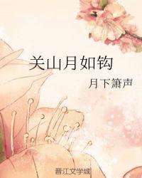 关山月如钩封面
