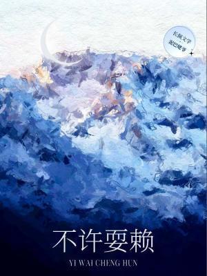 不许耍赖封面