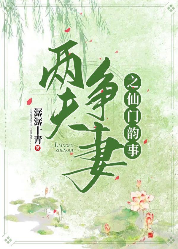两夫争妻封面