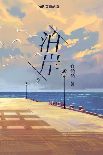 泊岸封面