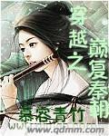 穿越之颠覆秦朝封面