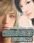 极品小公子封面