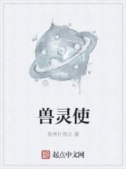 兽灵使封面