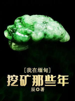 我在缅甸挖矿那些年封面
