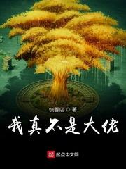 我真不是大佬（罗亮林清清）封面