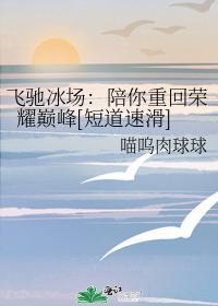 飞驰冰场：陪你重回荣耀巅峰[短道速滑]封面