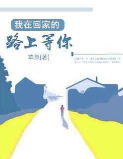 我在回家的路上等你封面