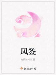 凤签封面
