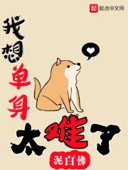 我想单身太难了封面