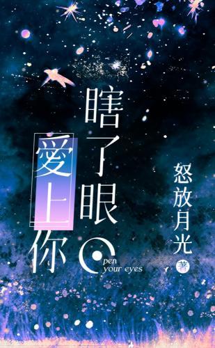 瞎了眼，爱上你封面