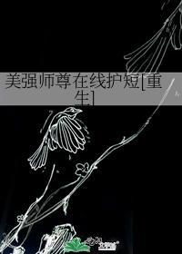 美强师尊在线护短封面