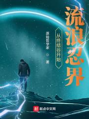 从终结谷开始流浪忍界封面