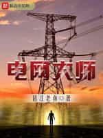 电网大师封面