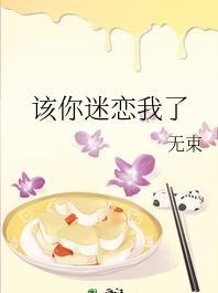 该你迷恋我了封面