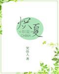 炽夏封面