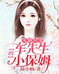 小保姆兰媛媛封面
