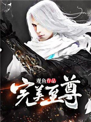 完美至尊封面