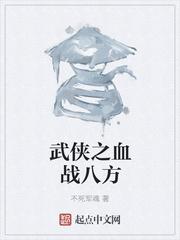 武侠之血战八方封面