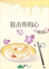 狙击你的心封面