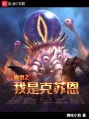 陈正苏橙封面