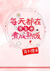 我才没撩你封面