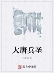 大唐兵圣封面
