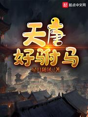 天唐好驸马封面