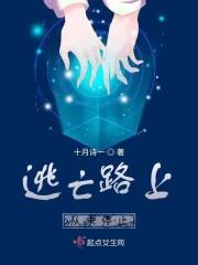 逃亡路上从未停止封面