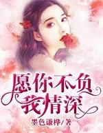 愿你不负我情深封面
