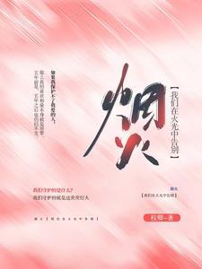 我们在火光中告别封面