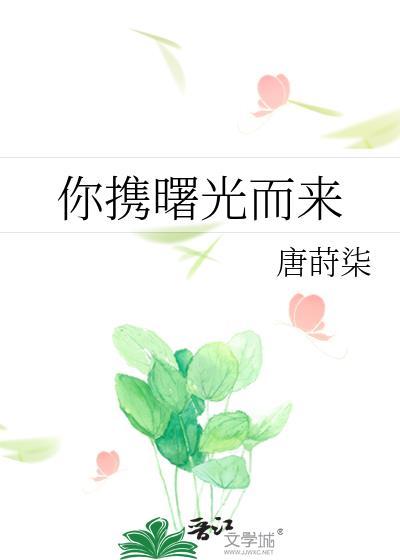 你携曙光而来封面