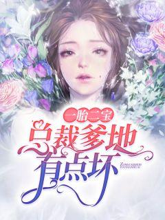 南晚晚迟西爵封面