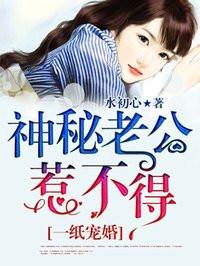 安笒霍庭深封面