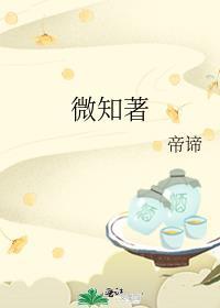 微知着封面