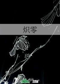 炽零封面