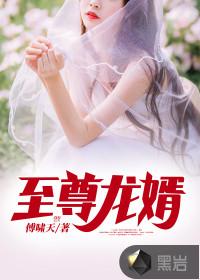 至尊龙婿封面