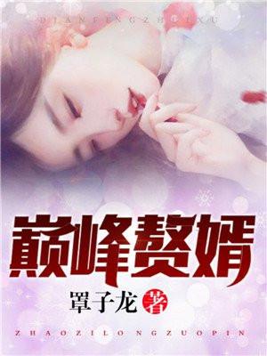 巅峰赘婿封面