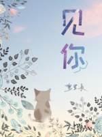 见你封面